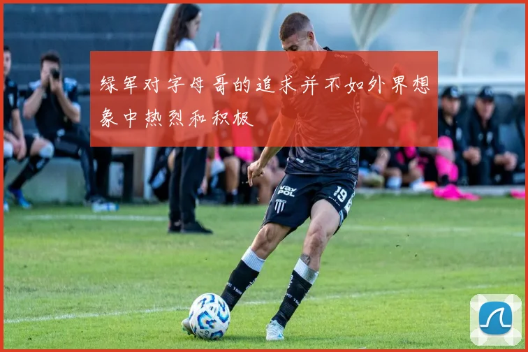 绿军对字母哥的追求并不如外界想象中热烈和积极